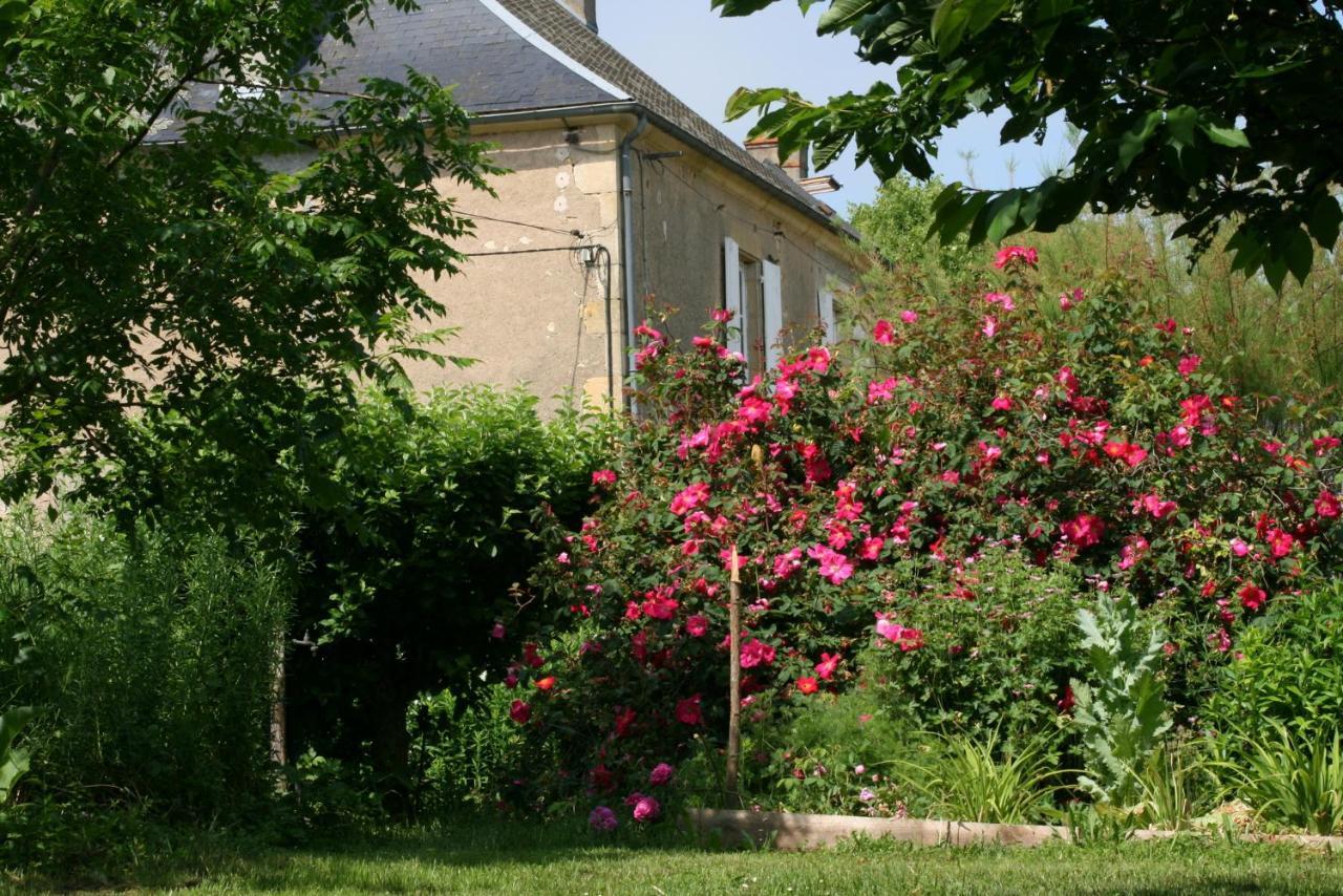 Chambres D'Hotes Du Jay La Guerche-sur-l'Aubois Eksteriør billede